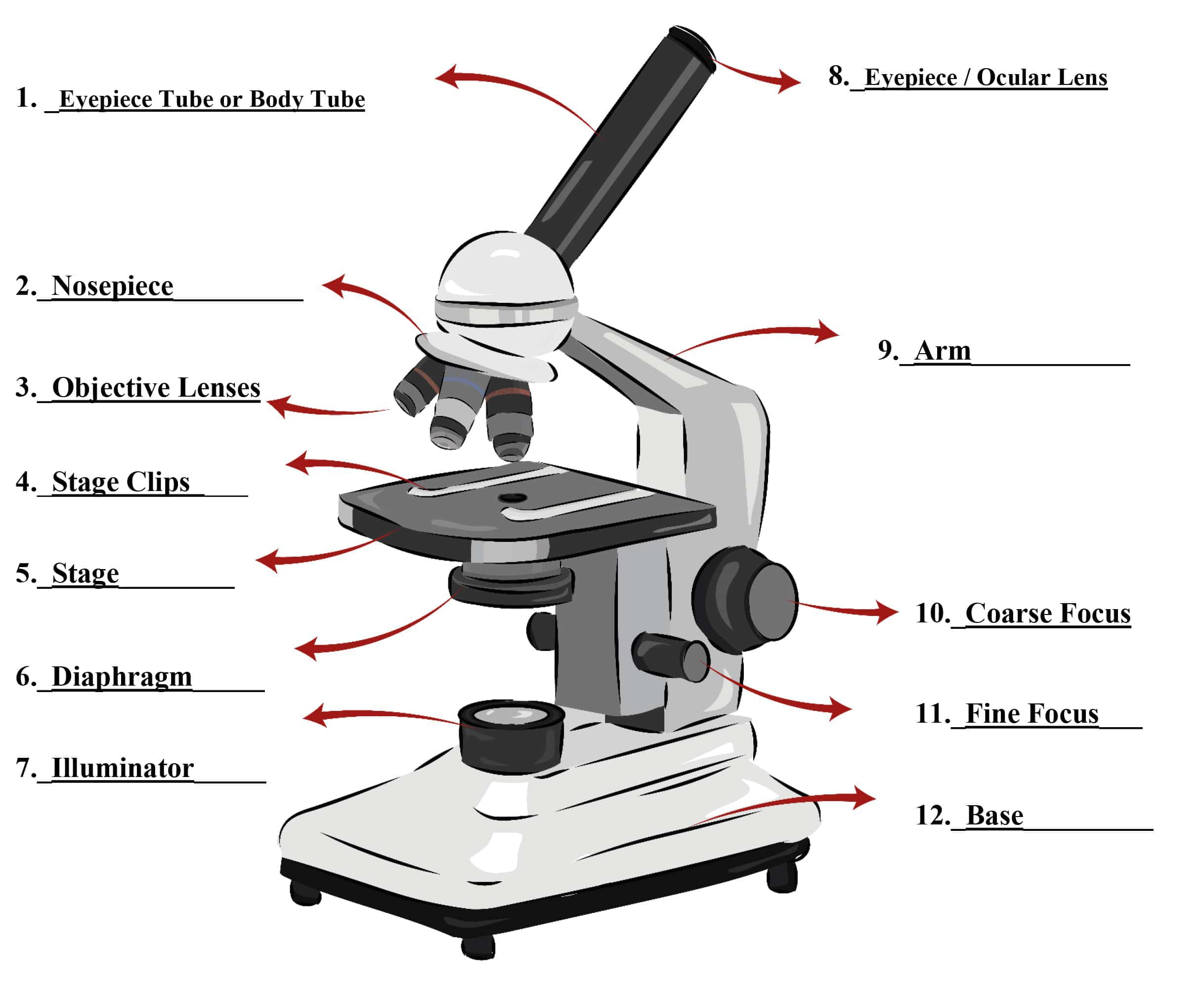travelling microscope labelled diagram