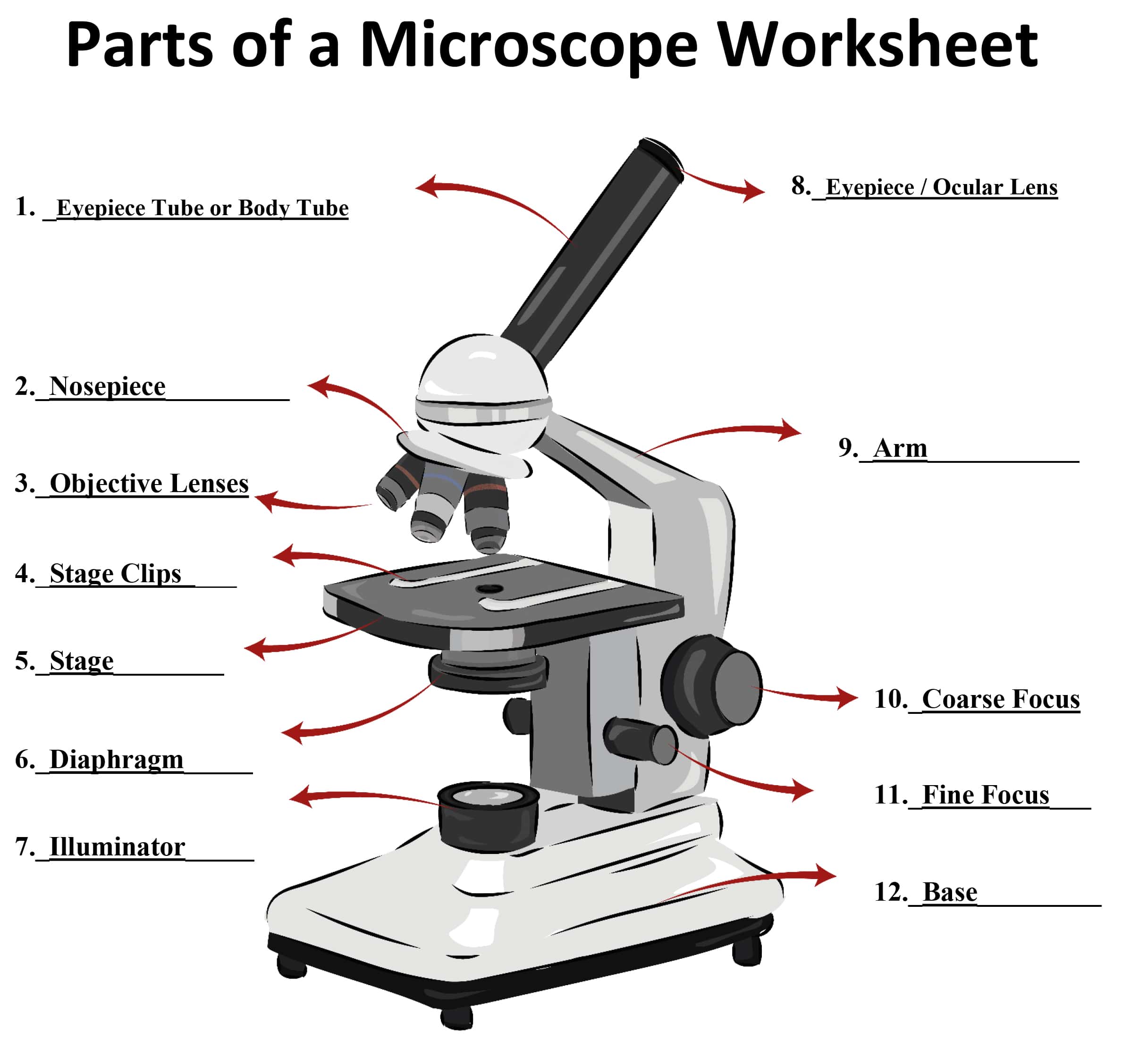 Parts of a Microscope - SmartSchool Systems With Microscope Parts And Use Worksheet